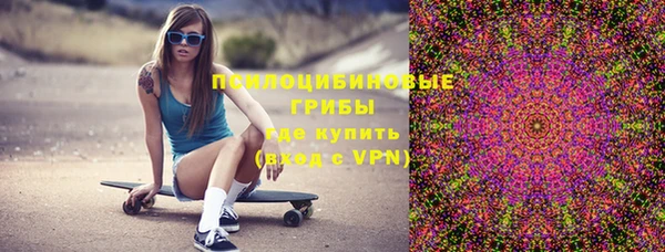 ешки Покачи