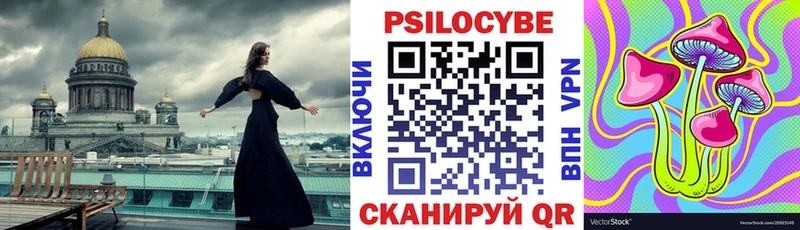 Псилоцибиновые грибы Cubensis Купить где Кологрив